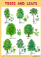 Развивающий плакат Мозаика-Синтез Trees And Leafs / МС10956 - 