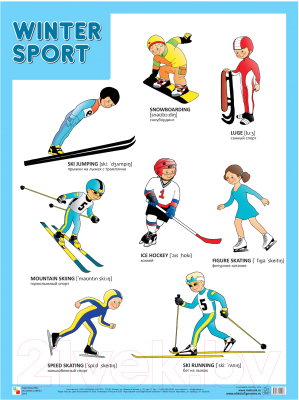 Развивающий плакат Мозаика-Синтез Winter Sport / МС11007