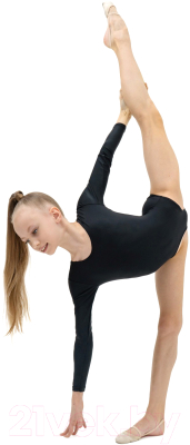 Купальник для художественной гимнастики Grace Dance 871281 (р-р 34, черный)