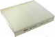 Салонный фильтр BIG Filter GB-98066 - 