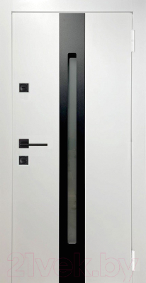 Изображение товара Входная дверь МагнаБел Termo Pro (96x205, правая)