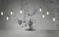 

Фотообои бесшовные Citydecor, Лофт 2