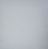 Плитка Грани Таганая GT-Профи GT007M (600x600, темно-серый) - 