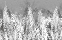 

Фотообои бесшовные Citydecor, Пальмовые листья 4