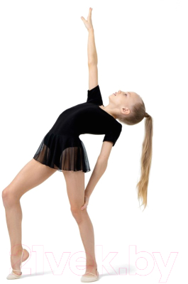 Купальник для художественной гимнастики Grace Dance 2620722 (р-р 36, черный)