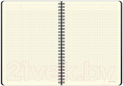 Изображение товара Блокнот Berlingo Steel&Style B5+ / WNt_B5005 (80л, серебристый металлик)