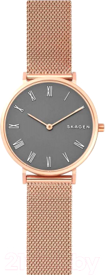 Часы наручные женские Skagen SKW2675
