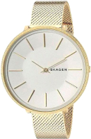 Часы наручные женские Skagen SKW2722 - 