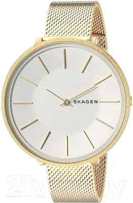 Часы наручные женские Skagen SKW2722
