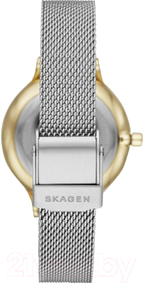 Часы наручные женские Skagen SKW2866