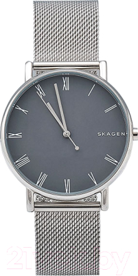 Часы наручные женские Skagen SKW6428