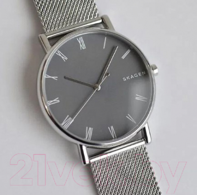 Часы наручные женские Skagen SKW6428