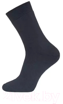 Изображение товара Носки Брестские 2420 (р.25, черный)
