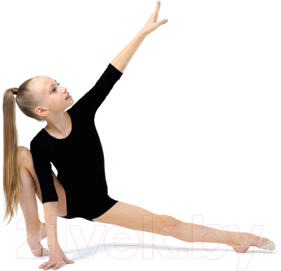 Комбинезон гимнастический Grace Dance 1431673 (р-р 30, черный)
