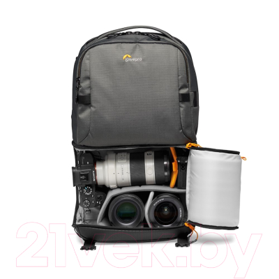 Рюкзак для камеры Lowepro Fastpack BP 250 AW III / LP37332-PWW (серый)