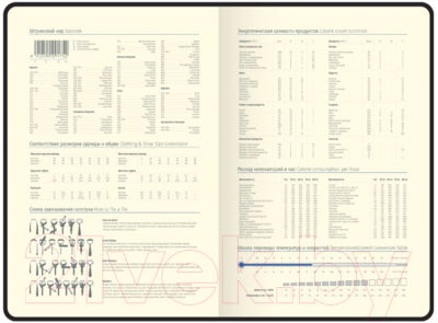 Изображение товара Ежедневник Berlingo Vivella Prestige A5 / UD0_80505 (160л, зеленый)