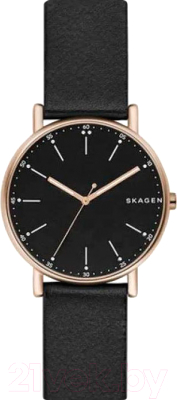 Часы наручные мужские Skagen SKW6401
