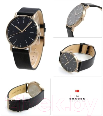 Часы наручные мужские Skagen SKW6401