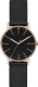 Часы наручные мужские Skagen SKW6401 - 