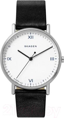 Часы наручные мужские Skagen SKW6412