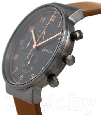 Часы наручные мужские Skagen SKW6418