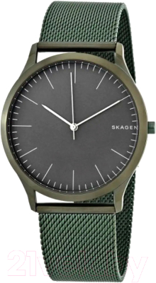 Часы наручные мужские Skagen SKW6425