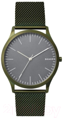Часы наручные мужские Skagen SKW6425