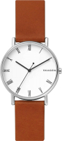 

Часы наручные мужские Skagen, SKW6427