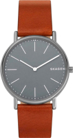 

Часы наручные мужские Skagen, SKW6429