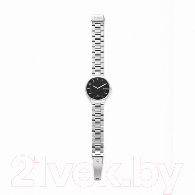 Часы наручные мужские Skagen SKW6515