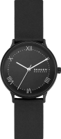 

Часы наручные мужские Skagen, SKW6623