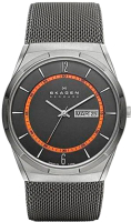 Часы наручные мужские Skagen SKW6007 - 