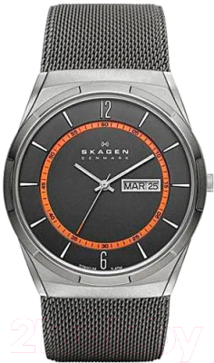 Часы наручные мужские Skagen SKW6007