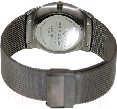Часы наручные мужские Skagen SKW6007