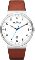 

Часы наручные мужские Skagen, SKW6082