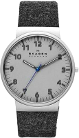 Часы наручные мужские Skagen SKW6097 - 