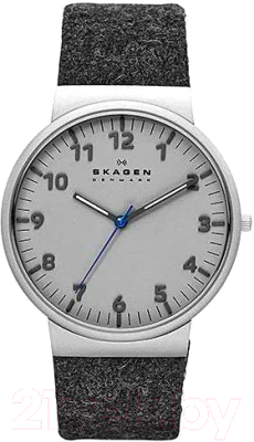Часы наручные мужские Skagen SKW6097