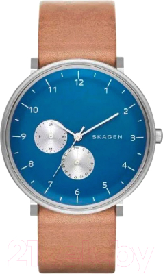 Часы наручные мужские Skagen SKW6167