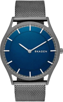 Часы наручные мужские Skagen SKW6223 - 