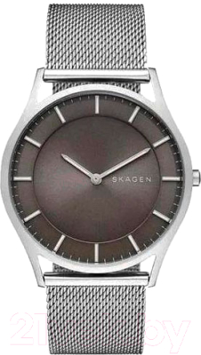 Часы наручные мужские Skagen SKW6239