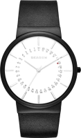 Часы наручные мужские Skagen SKW6243 - 