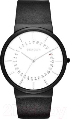 Часы наручные мужские Skagen SKW6243