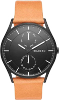 Часы наручные мужские Skagen SKW6265 - 