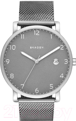 Часы наручные мужские Skagen SKW6307