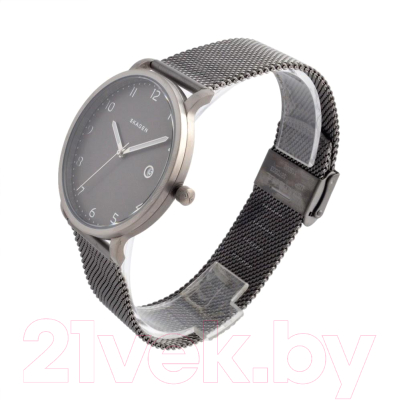 Часы наручные мужские Skagen SKW6307