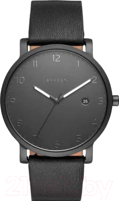 Часы наручные мужские Skagen SKW6308