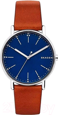 Часы наручные мужские Skagen SKW6355