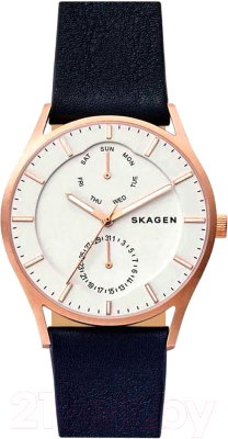 Часы наручные мужские Skagen SKW6372