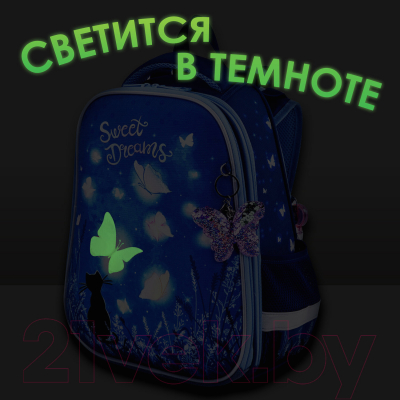 Школьный рюкзак Brauberg Sweet dreams / 270593