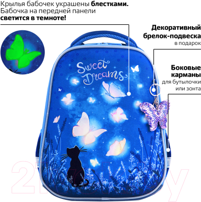 Школьный рюкзак Brauberg Sweet dreams / 270593